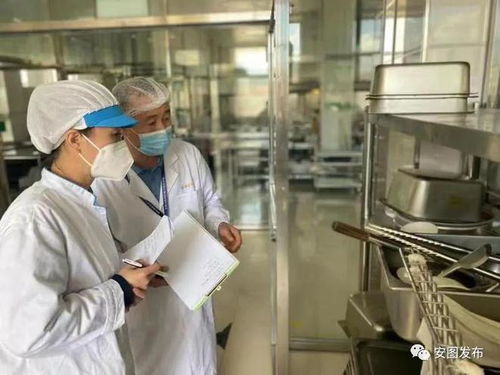 安图县节前食品安全检查 严把“粽”要关口 守护舌尖安全